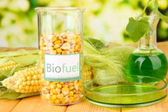 Dinas Powis biofuel availability
