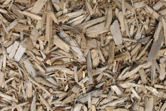biomass boilers Dinas Powis